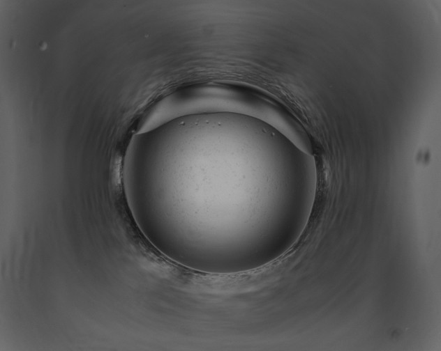 X0000091660041200708231316