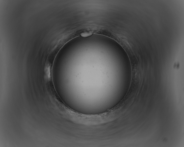 X0000091660042200708231316