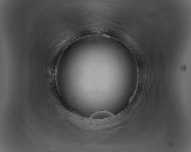X0000091660043200708231316