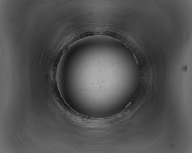 X0000091660044200708231316