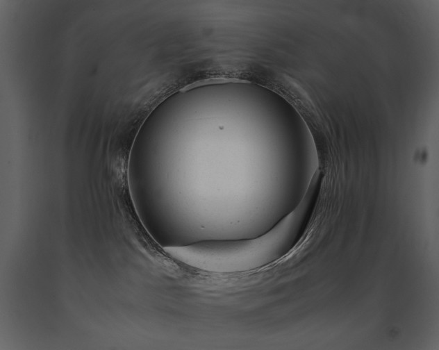 X0000091660045200708231316