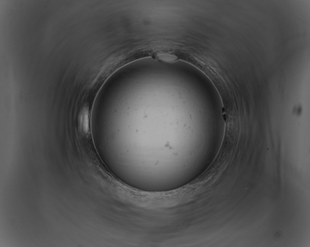 X0000091660046200708231316