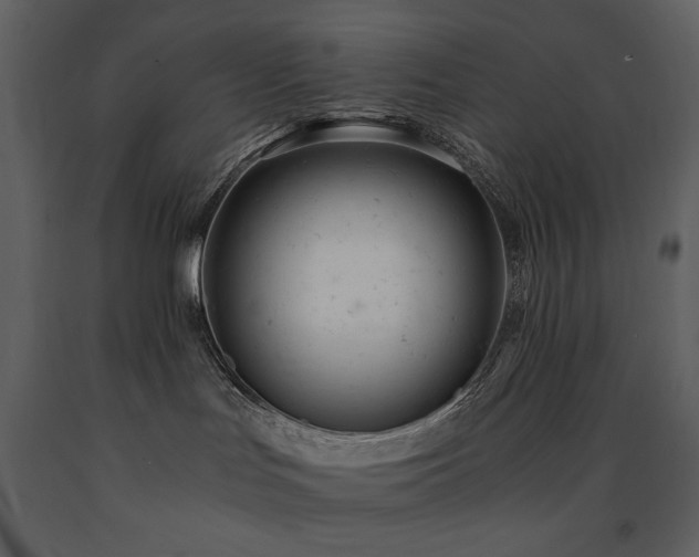X0000091660047200708231316