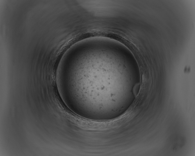 X0000091660048200708231316