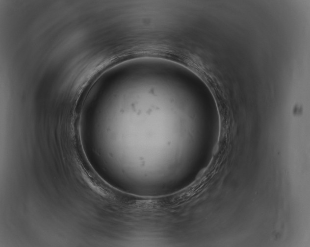 X0000091660050200708231315