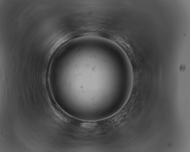 X0000091660051200708231315