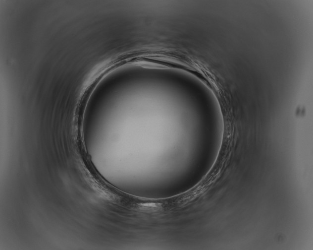 X0000091660053200708231315