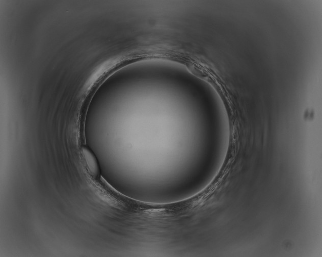 X0000091660054200708231316