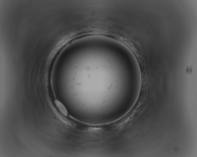 X0000091660055200708231316