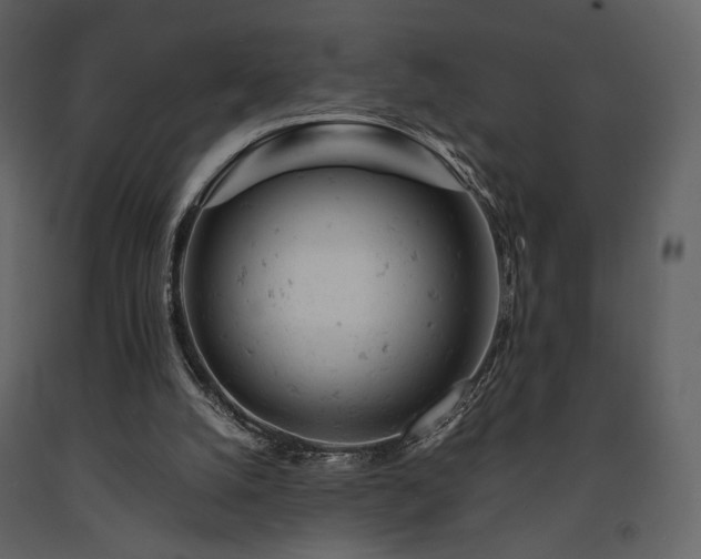 X0000091660056200708231316