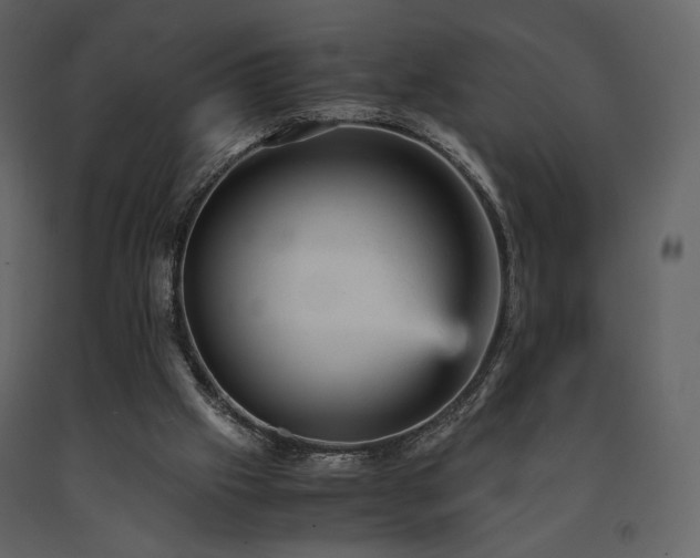 X0000091660057200708231316