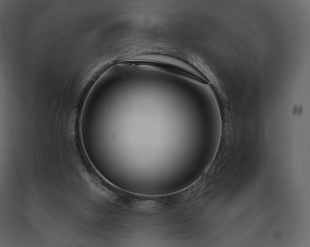 X0000091660058200708231316