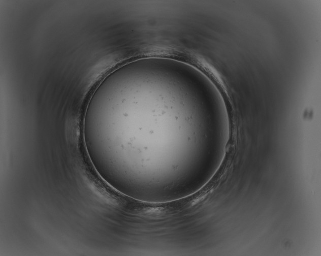X0000091660059200708231316