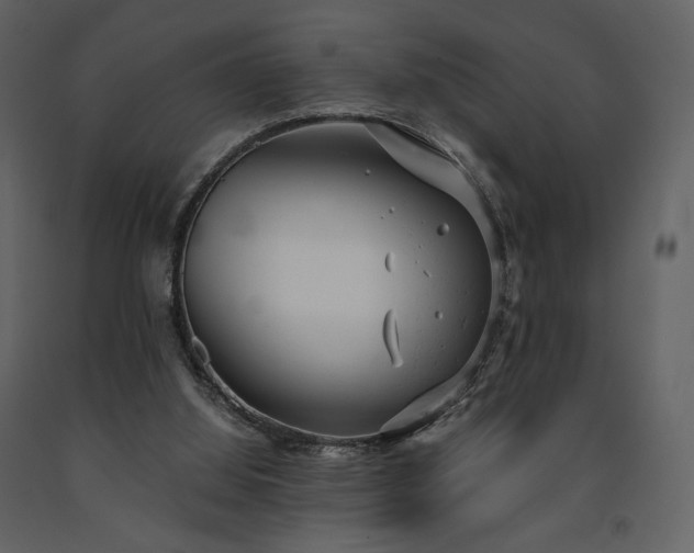 X0000091660060200708231316
