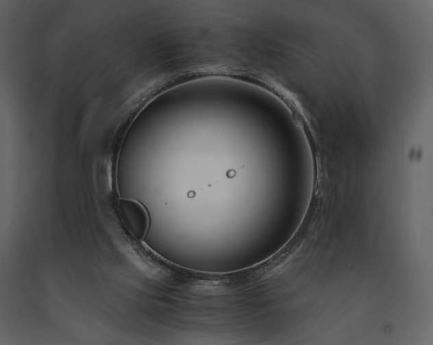 X0000091660061200708231316