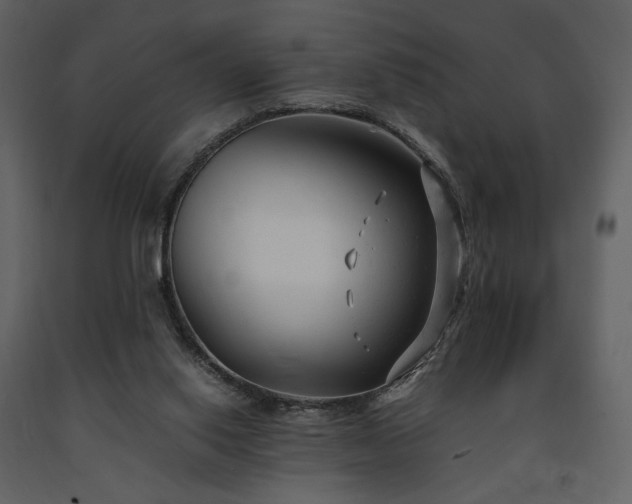 X0000091660062200708231316