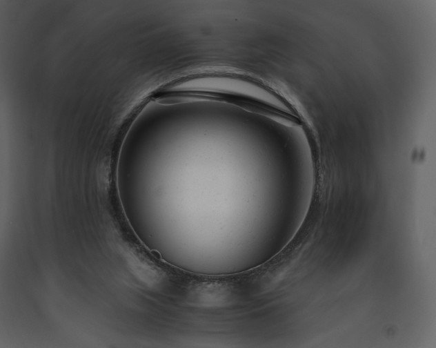 X0000091660063200708231316