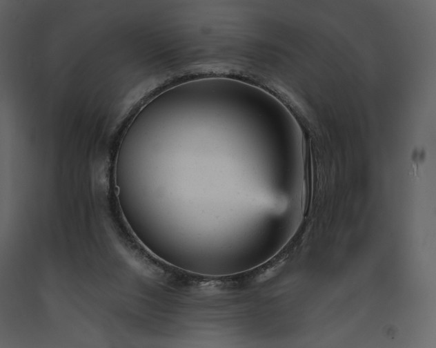 X0000091660064200708231316