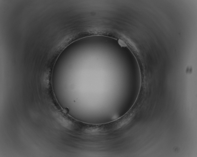 X0000091660065200708231316