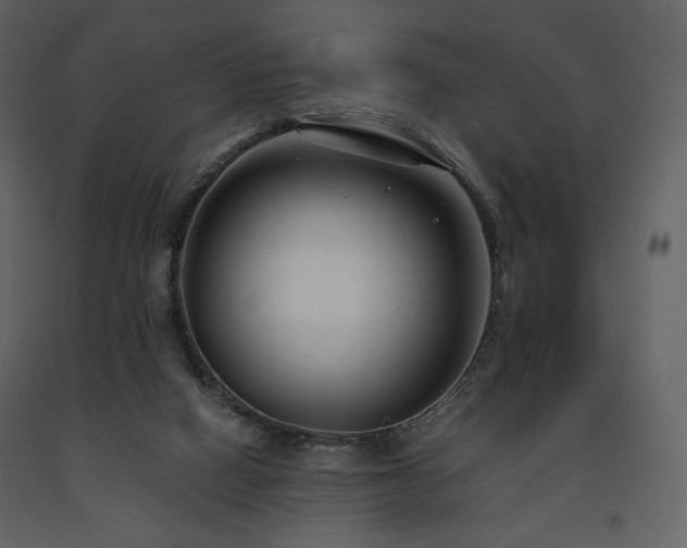 X0000091660066200708231316