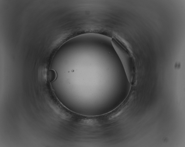X0000091660067200708231316