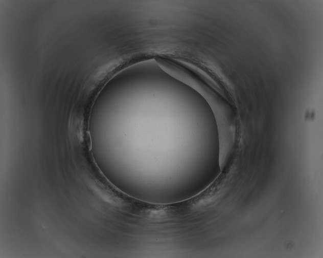 X0000091660068200708231316