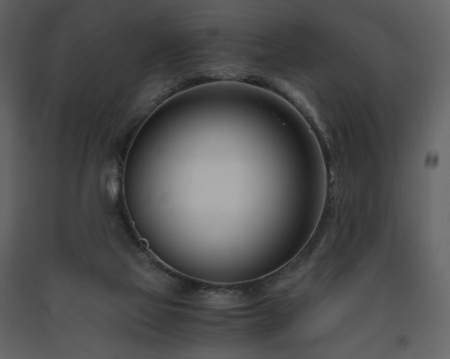 X0000091660069200708231316