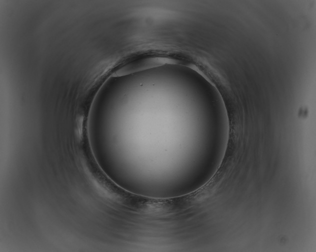 X0000091660070200708231316