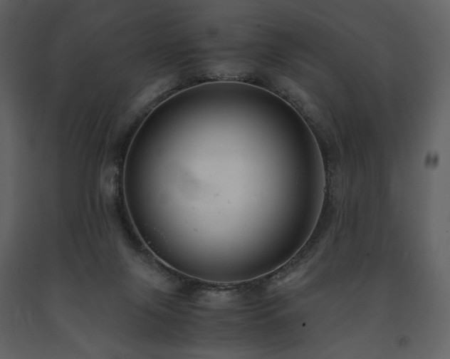 X0000091660071200708231316