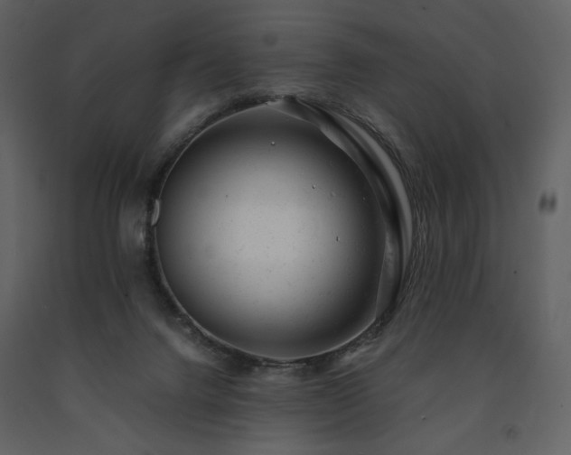 X0000091660072200708231316