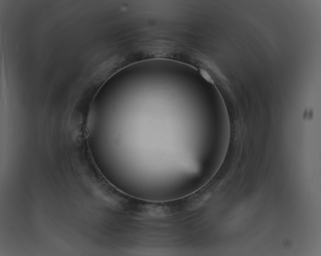 X0000091660073200708231316