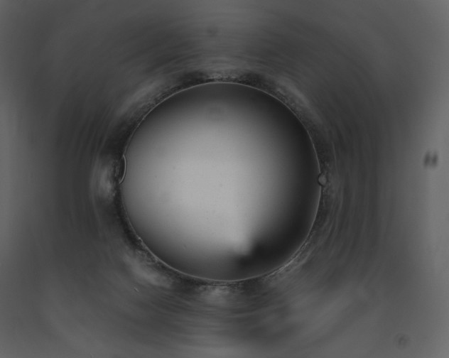 X0000091660074200708231316