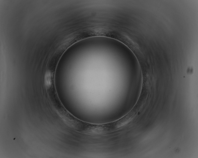 X0000091660075200708231316