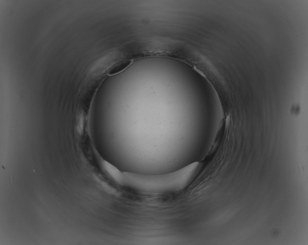 X0000091660076200708231316
