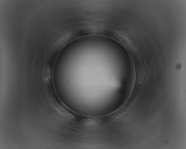 X0000091660077200708231316