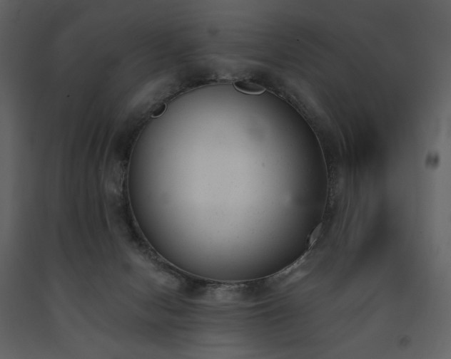 X0000091660078200708231316
