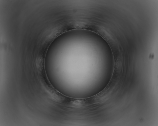 X0000091660079200708231316