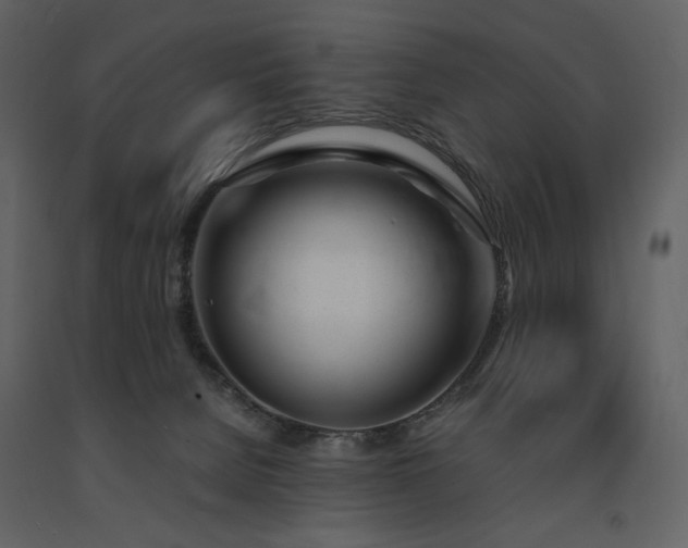 X0000091660080200708231316