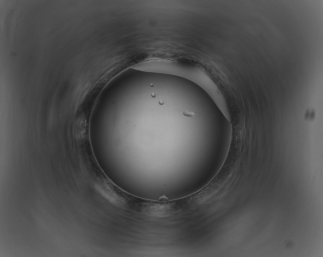 X0000091660081200708231316
