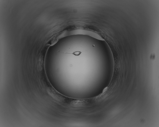 X0000091660082200708231316