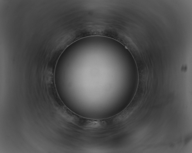 X0000091660083200708231316