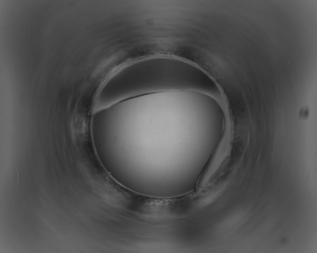 X0000091660084200708231316