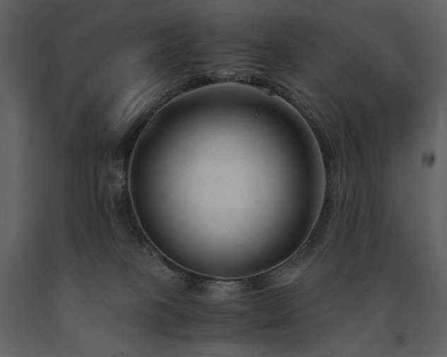X0000091660085200708231316