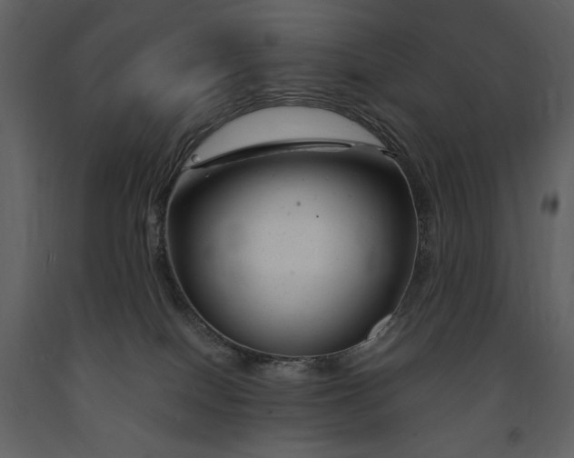 X0000091660086200708231316