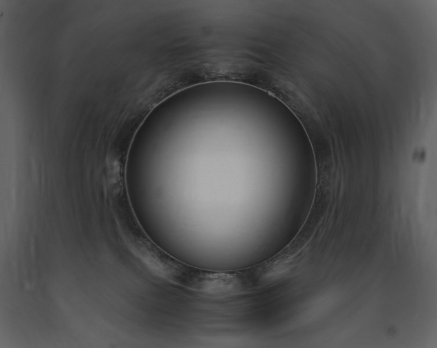 X0000091660087200708231316