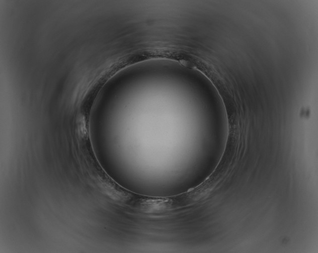 X0000091660089200708231316