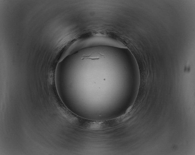 X0000091660090200708231316