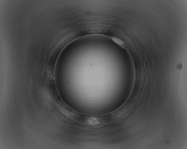 X0000091660091200708231316