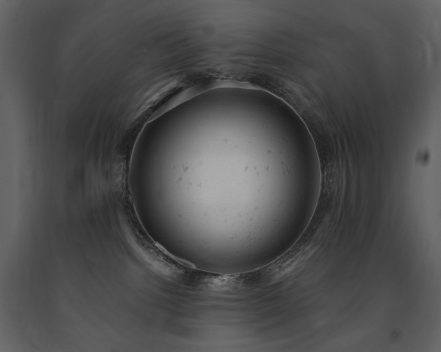 X0000091660092200708231316