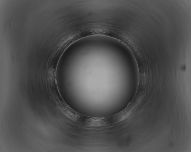 X0000091660093200708231316